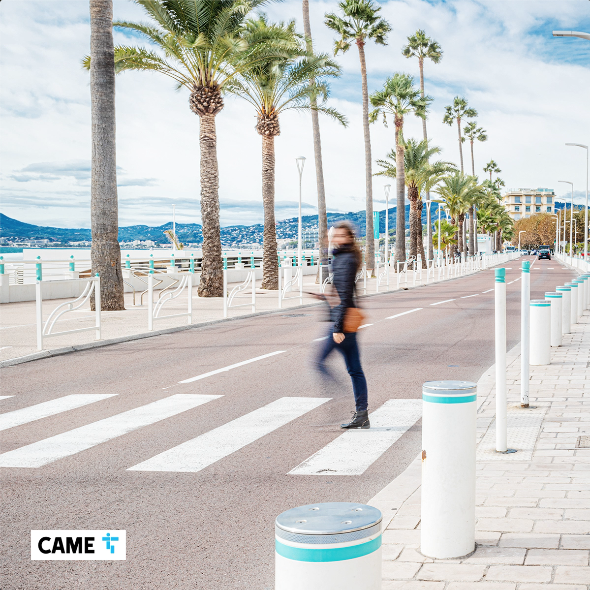 Cannes Case Study